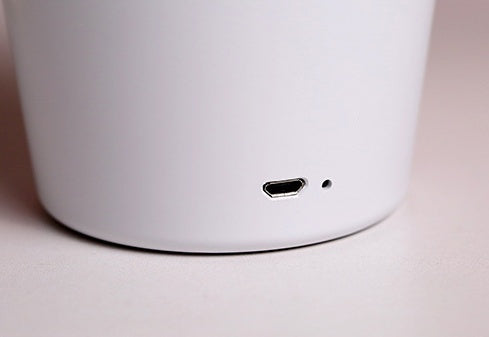 LumiFlora - Luminária de Mesa